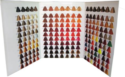 salon 26 color chart.